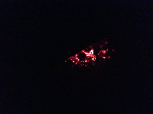 firepit.1  9-14