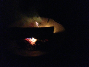 firepit.2 9-14