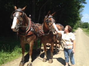 Horses - Kath  7-15