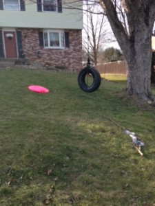 Tire swing 4-16