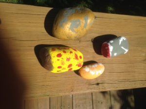 Rocks - Logan 8-17