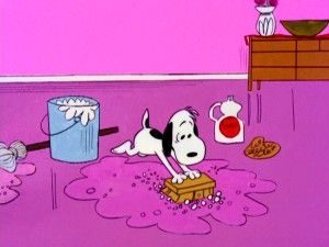 Snoopy cleaning