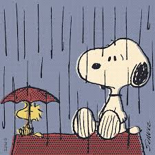 Snoopy rain